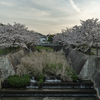 千里川 花咲か公園