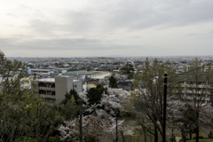 山之手公園