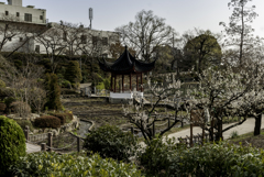 水月 2018・3月