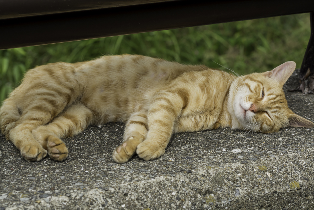 寝てる？起きてる？