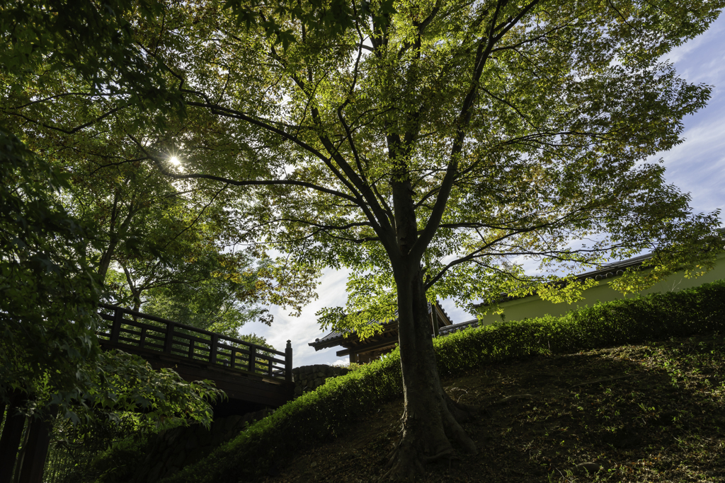 池田城跡公園