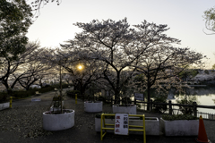 水月 2018・3月