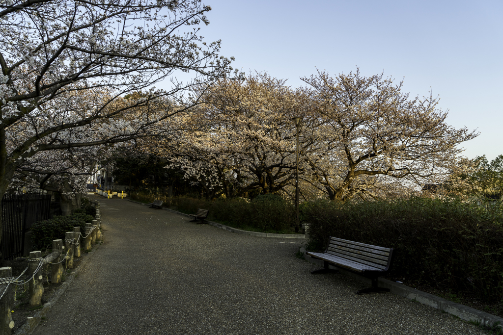 水月 2018・3月