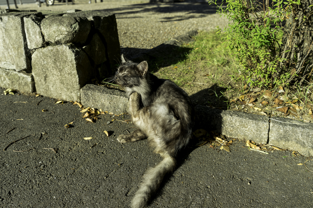 喉にキック