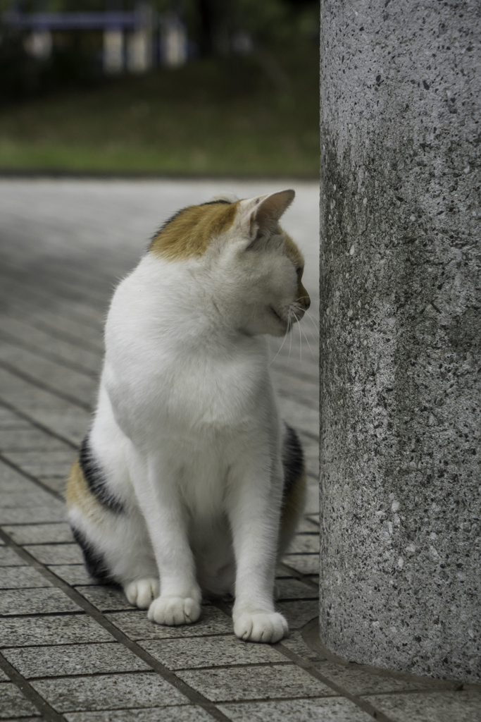柱さんとにらめっこ