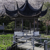水月