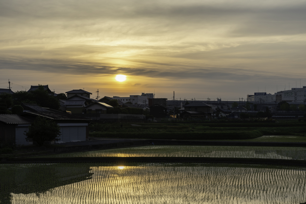 萱野