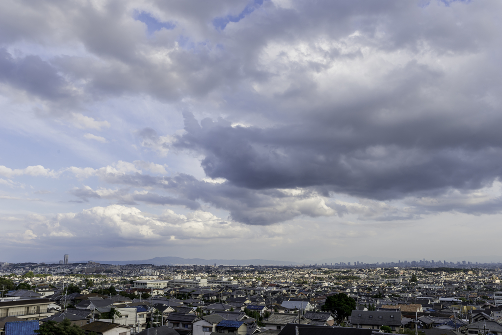 お墓の上から