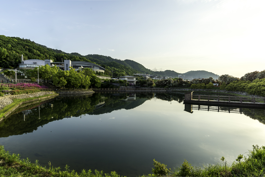 中池公園