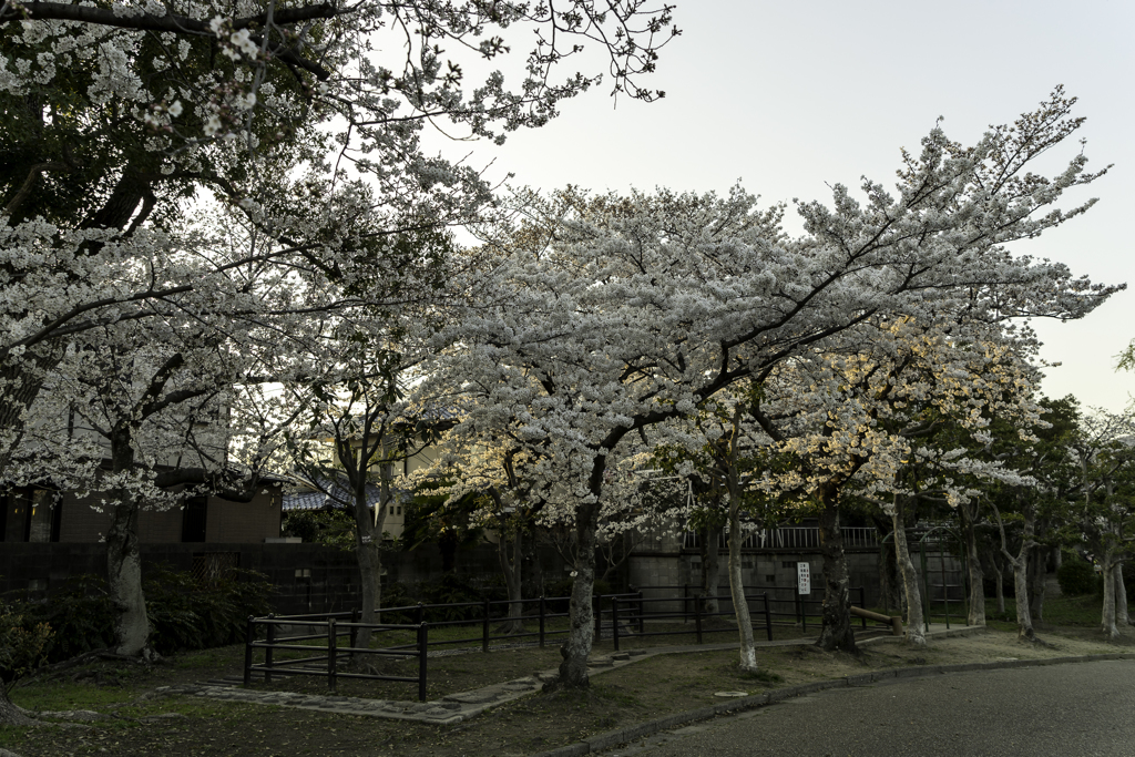 水月 2018・3月