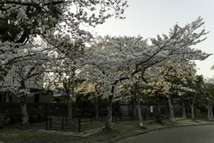 水月 2018・3月