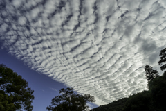 秋空