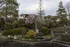 水月 2018・3月