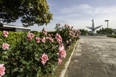 平和のバラ園