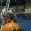 遊びながらの食事