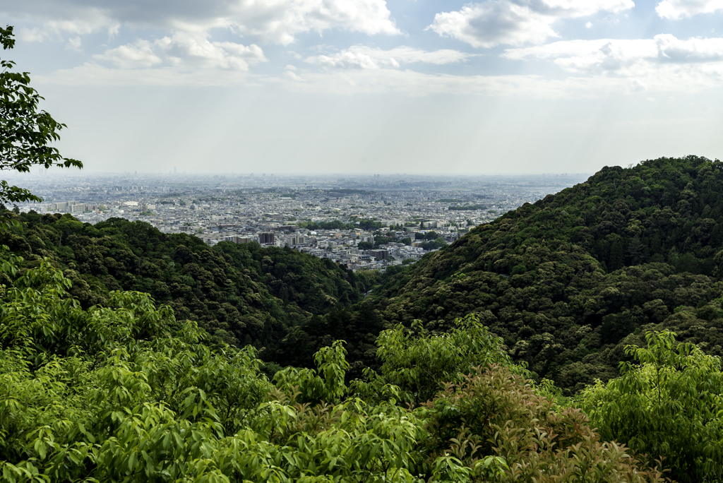 望海丘展望台