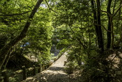 望海丘展望台への山道入口付近