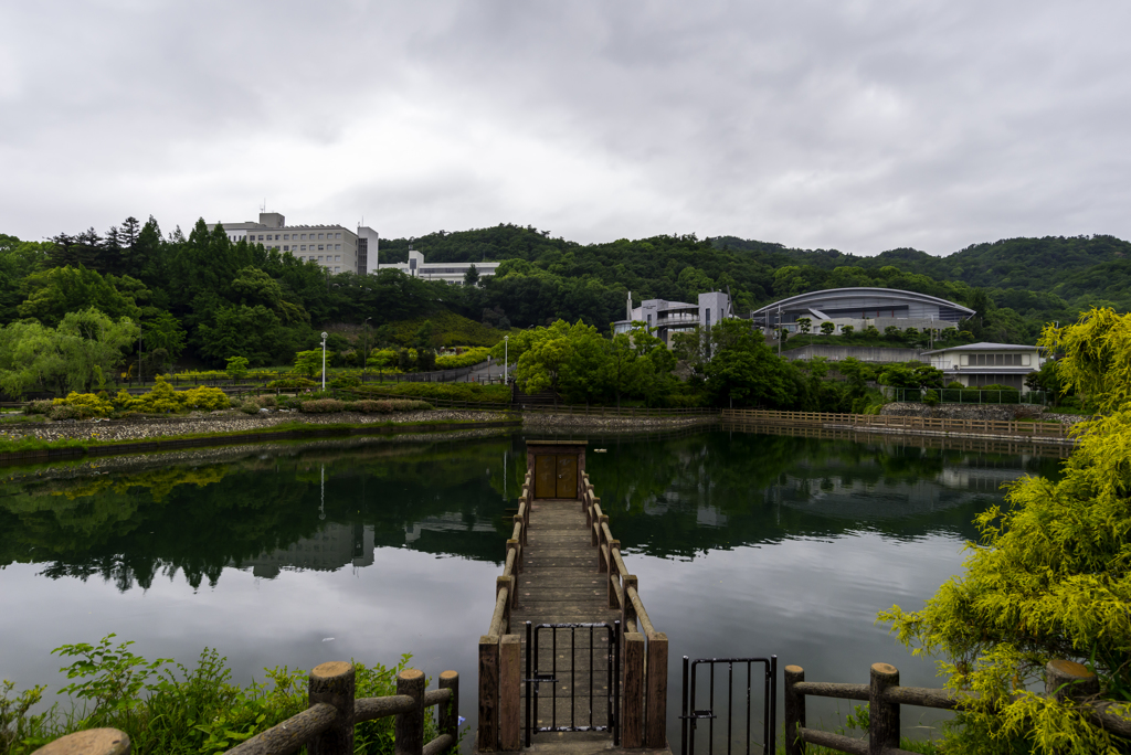 中池公園