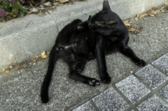 おまたひらいちゃだめ