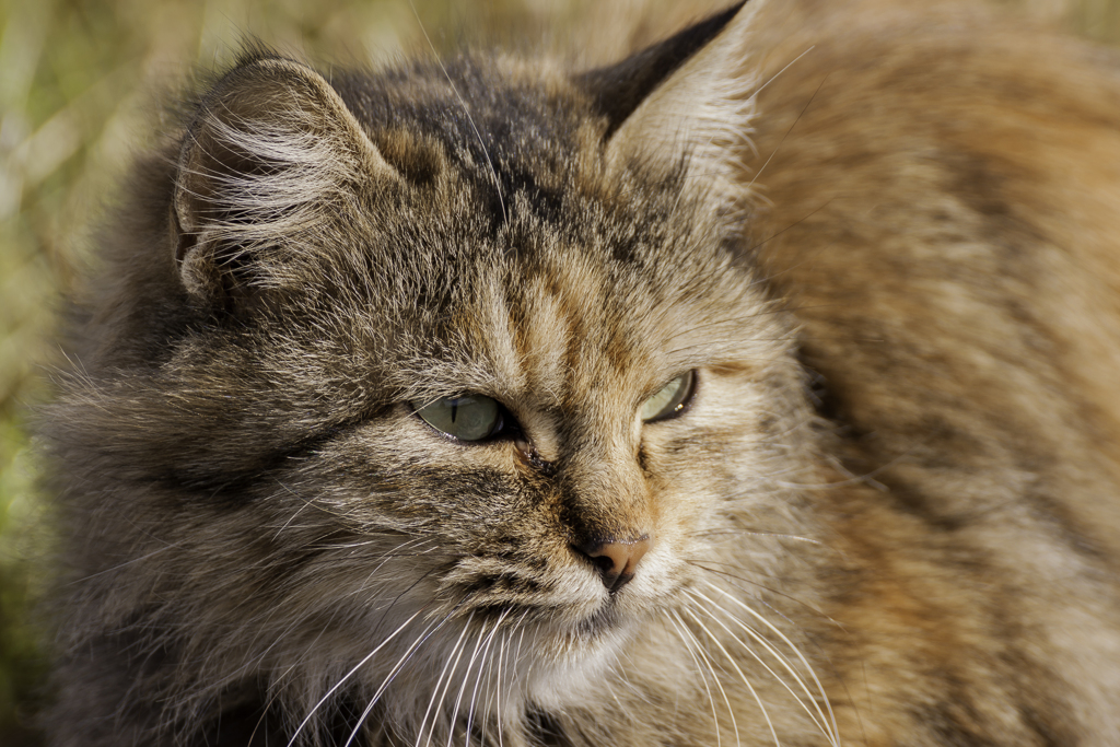 陽あたりの良い場所