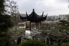水月 2018・3月