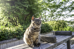ウトウトねむい～