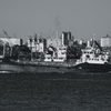 IMGP6593-1