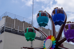 IMGP5346-1