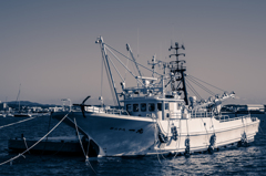 IMGP5670-1