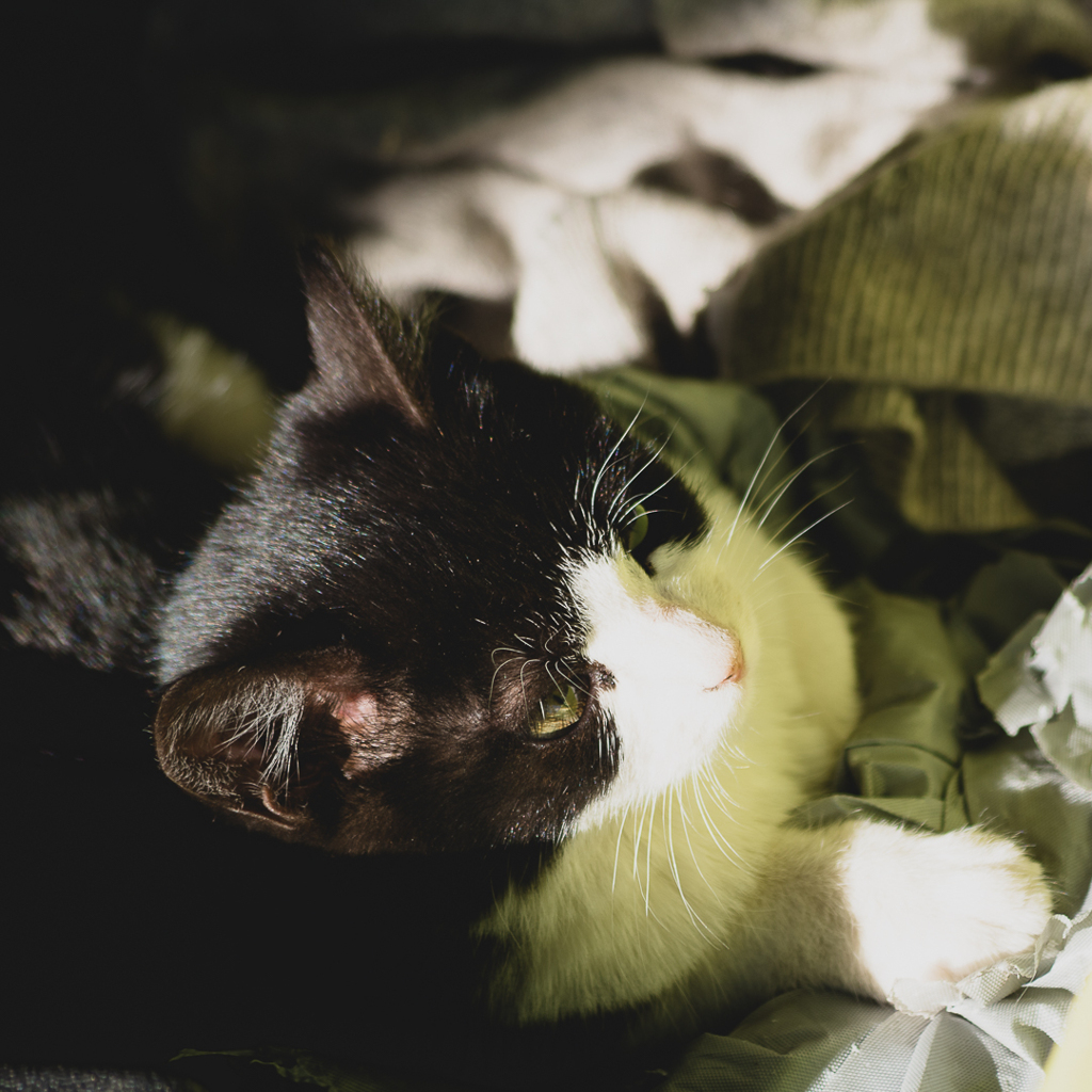 IMGP7938-1080