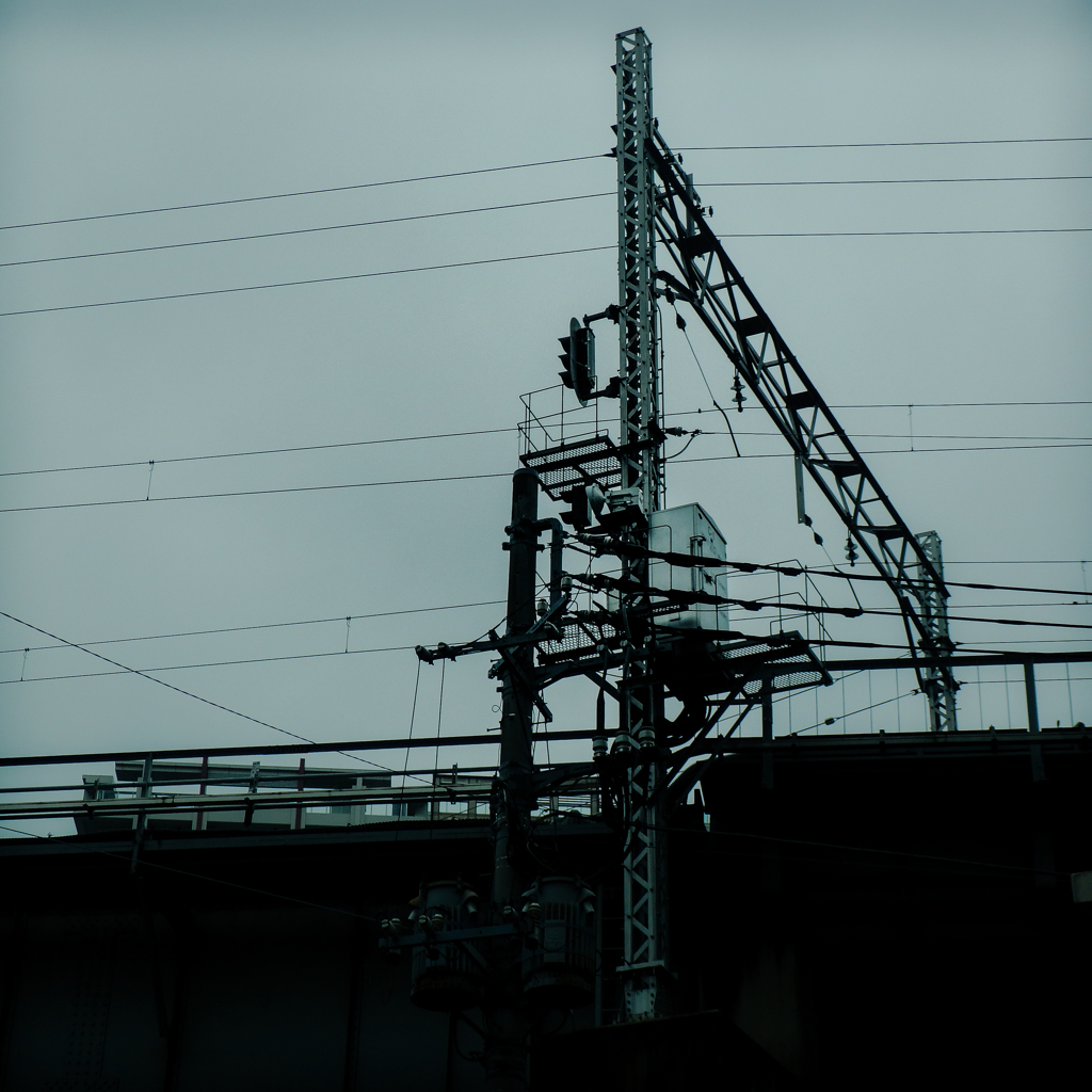 P1010016-1