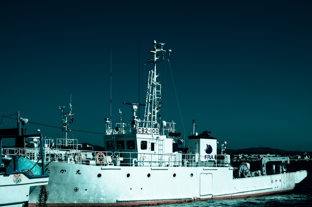 IMGP5666-1