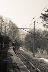IMGP5143-2