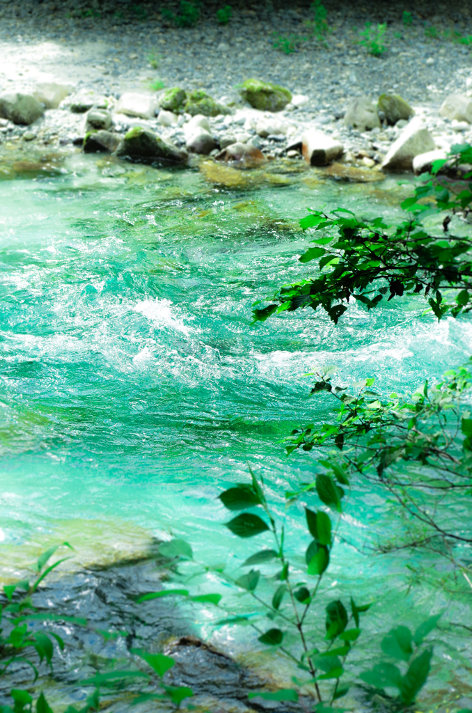 IMGP5428-1