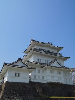 小田原城2018