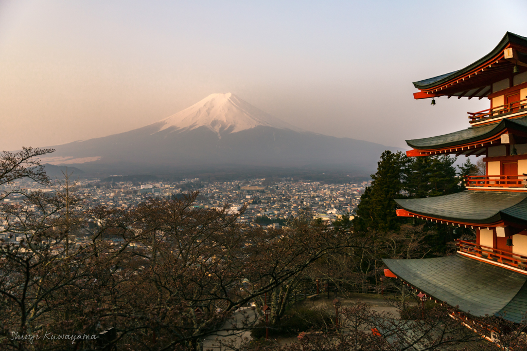 開花前の桜と霞んだ富士