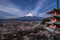 富士　桜　忠霊塔