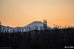 多摩川から望む富士