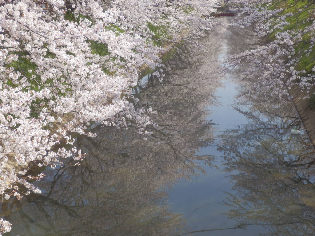 水鏡