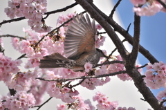 そうだこれがあった