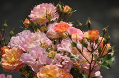 植田、日産（ディーラー）を辞めなきゃよかったと後悔