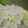 へめこ落語を聞きながら落馬