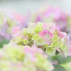 へめこ卑弥呼観光で下痢