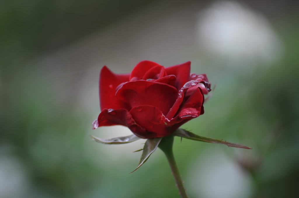 えらいねぇ～　ヘメ子だねぇ～