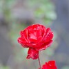 へめこの知らない世界