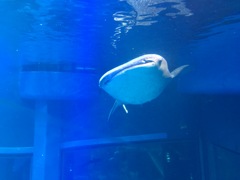今から行きます