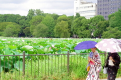 八月の上野