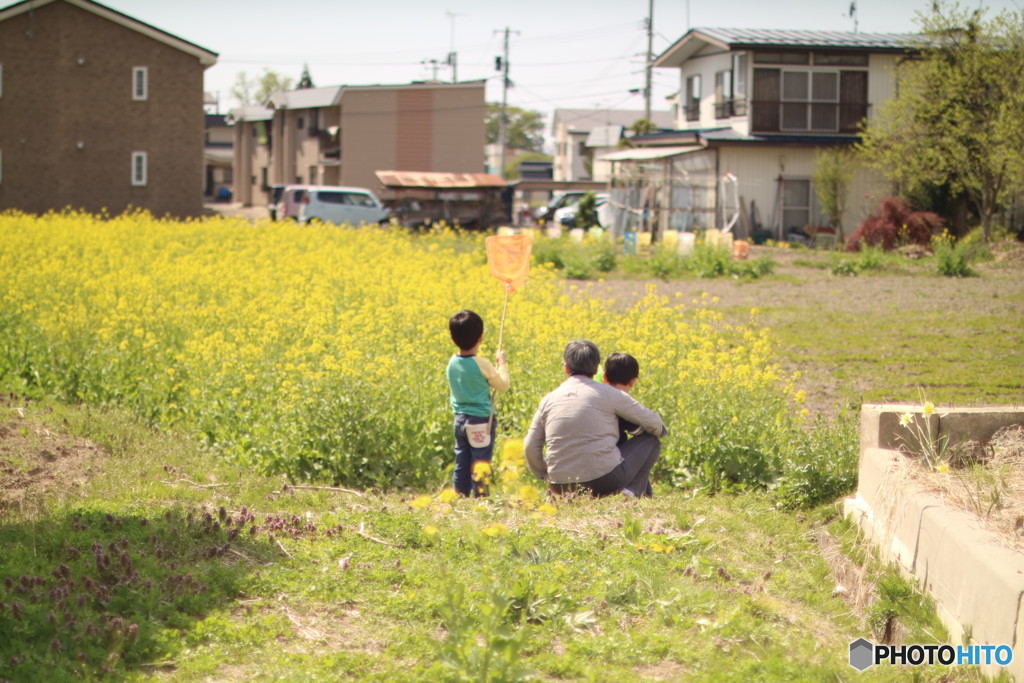 さがしもの