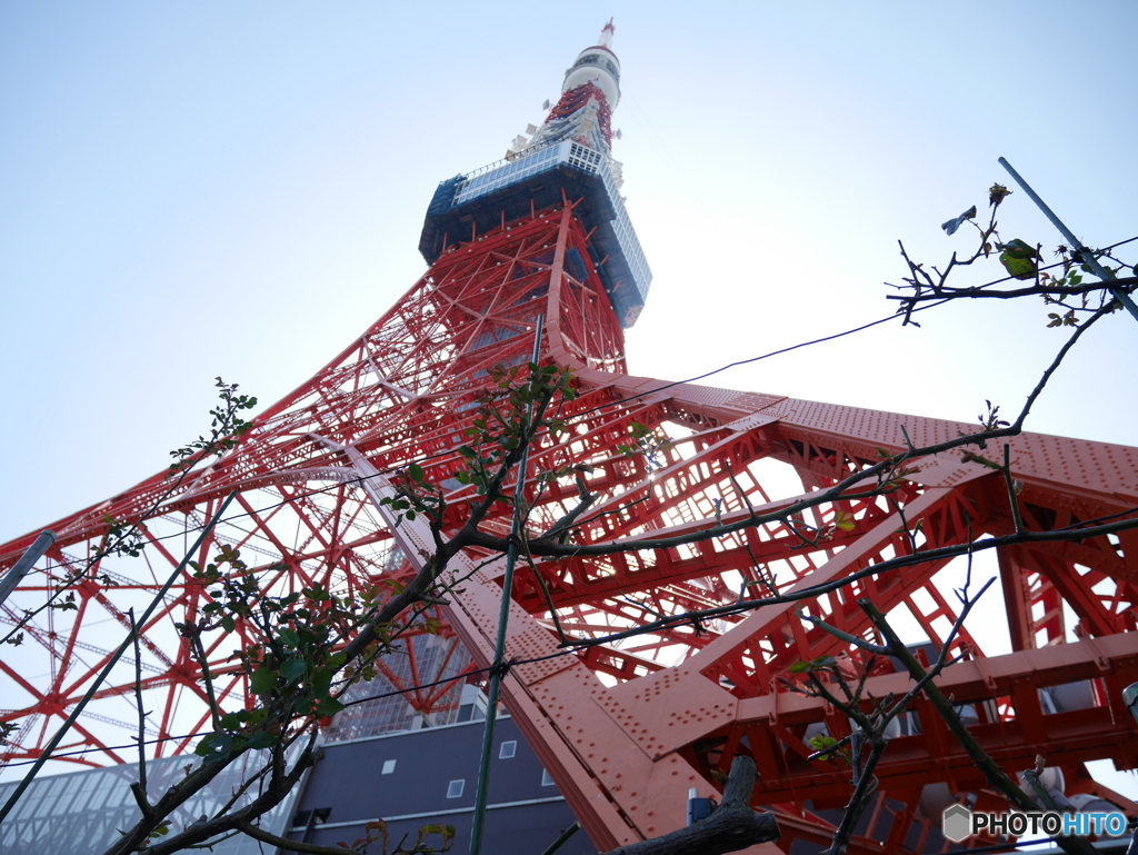 東京タワー