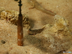 P1030067